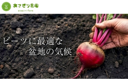 自社農園栽培 プレミアム生ビーツ3kg ビーツ やさい 野菜 健康 美容 冷蔵 国産 九州 熊本県 あさぎり町
