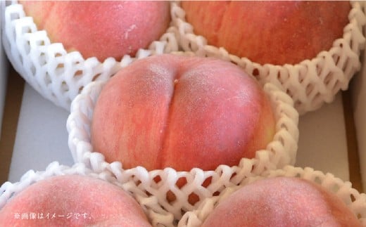 【フルーツ3回定期便】 球磨のいちご1kg×4パック＋桃1kg＋梨5kg