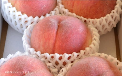 【フルーツ3回定期便】 アンデスメロン5kg＋桃1kg＋梨5kg