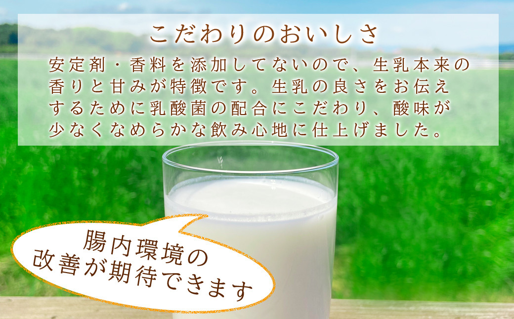球磨の恵みヨーグルト詰合わせセット(ヨーグルト1kg×2個・のむヨーグルト450g×2本・のむヨーグルト150g×6本)