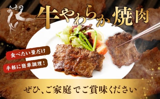 【定期便3回】牛やわらか焼肉 ／ 1回あたり：500g×2パック 計1kg