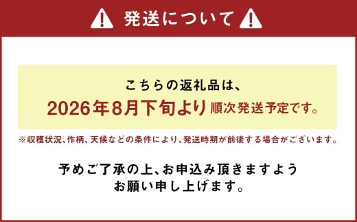 熊本県あさぎり町産　白ねぎ「球磨美人」Lサイズ×30本