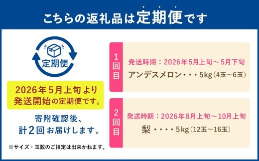 【フルーツ2回定期便】　アンデスメロン5kg＋梨5kg
