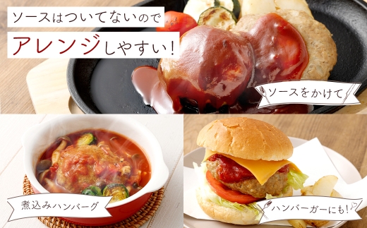 豆腐ハンバーグセット