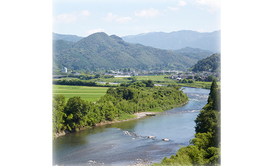 高橋酒造　本格米焼酎「白岳しろ」720ml　12本セット