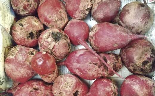 【訳あり】自社農園栽培 生ビーツ2kg