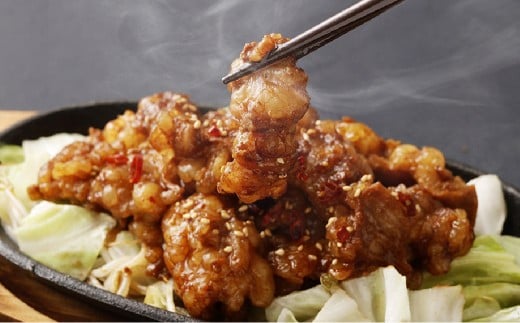 【定期便6回】 牛みそホルモン 1回あたり：計約2kg（約500g×4パック） 肉 お肉 ホルモン 焼肉 焼き肉 牛大腸 肉厚 冷凍