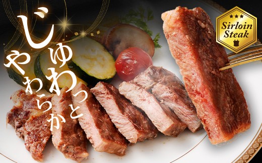 【訳あり】 【3ヶ月定期便】 牛サーロインステーキ（牛脂注入加工） 1回あたり計600g（120g×5枚） ワケあり 訳アリ 牛肉 サーロイン ステーキ お肉 肉 冷凍