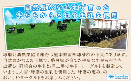 球磨の恵み「のむヨーグルト」150g×10本セット(加糖150g×5本・砂糖不使用150g×5本)
