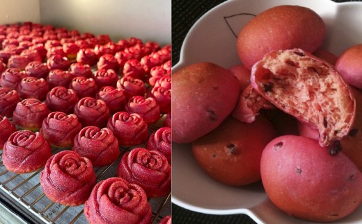 自社農園栽培 ビーツパウダー微粉末 100g（50g×2袋）