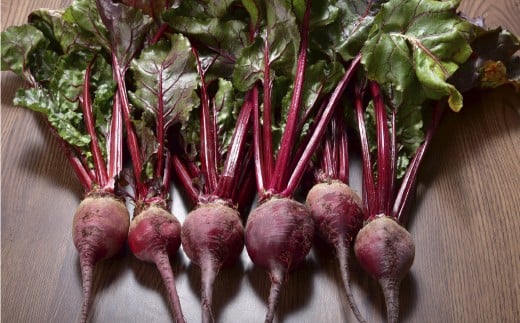 自社農園栽培 生ビーツ5kg