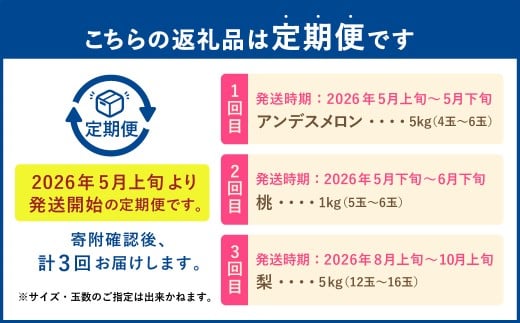【フルーツ3回定期便】 アンデスメロン5kg＋桃1kg＋梨5kg