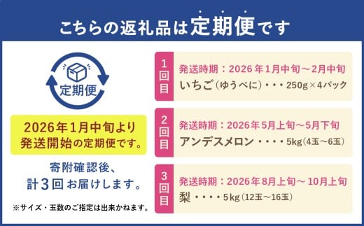【フルーツ3回定期便】 球磨のいちご1kg＋アンデスメロン5kg＋梨5kg