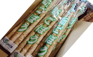 熊本県ＪＡくま産　球磨の新ごぼう 3kg 【先行受付】【2027年1月中旬～3月中旬迄発送予定】