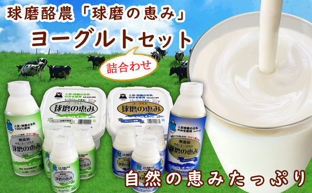 球磨の恵みヨーグルト詰合わせセット(ヨーグルト1kg×2個・のむヨーグルト450g×2本・のむヨーグルト150g×6本)