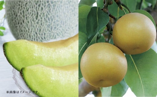 【フルーツ2回定期便】　アンデスメロン5kg＋梨5kg