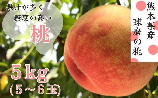 【先行受付】【発送時期：2026年5月下旬～6月下旬】熊本県ＪＡくま産　球磨の桃　1kg(5玉～6玉　旬な品種)