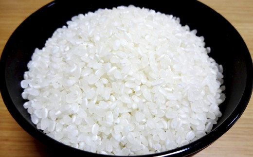 令和7年産 「くまさんの輝き」10kg