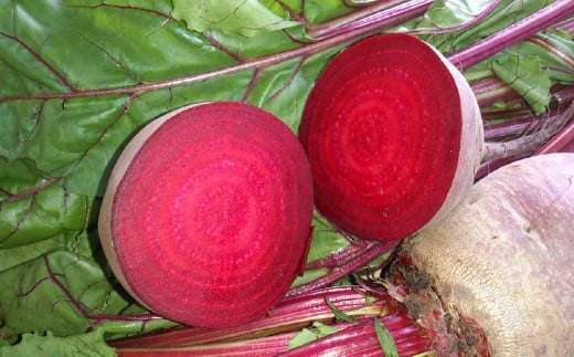 自社農園栽培 生ビーツ2kg