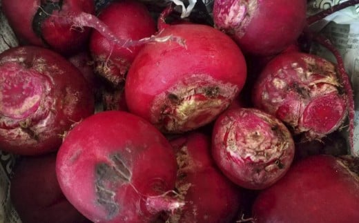 【訳あり】自社農園栽培 生ビーツ2kg