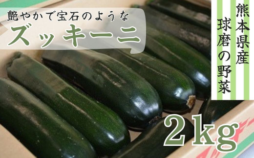 熊本県ＪＡくま産　球磨のズッキーニ　2kg 【先行受付】【発送時期：2026年3月上旬～5月下旬】