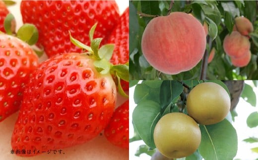 【フルーツ3回定期便】 球磨のいちご1kg×4パック＋桃1kg＋梨5kg
