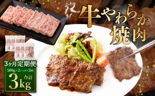 【定期便3回】牛やわらか焼肉 ／ 1回あたり：500g×2パック 計1kg