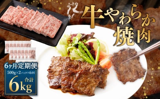 【定期便6回】牛やわらか焼肉 ／ 1回あたり：500g×2パック 計1kg