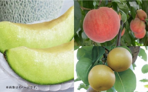 【フルーツ3回定期便】 アンデスメロン5kg＋桃1kg＋梨5kg