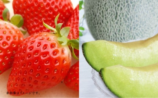 【フルーツ2回定期便】 球磨のいちご1kg+アンデスメロン5kg