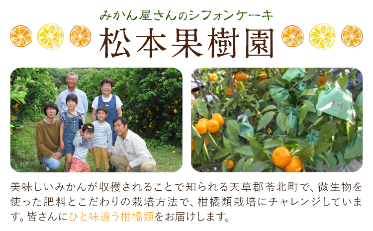 菓子 シフォンケーキ 小 3個 デコポン 晩柑 アールグレイ チョコチップ 加工所みかん屋さん 松本果樹園《30日以内に出荷予定(土日祝除く)》熊本県 苓北町 お菓子 シフォン ケーキ スイーツ おやつ 洋菓子 デザート 自家製 ギフト---reihoku_kmy_2_s3---