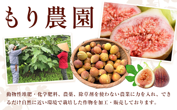 【2ヶ月定期便】天草 乾燥南蛮柿 ドライいちじく30g × 2袋 2回 いちじくドライフルーツ 乾燥 果物 南蛮柿 製菓 熊本県 苓北町 もり農園《お申し込みの翌月より出荷》---reihoku_mrn_4_mo2---