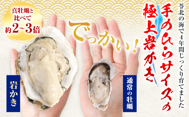 浜崎水産の天草天領岩かき 約2.5kg 《2026年4月上旬-7月末頃出荷予定》 【配送不可地域あり】 海鮮 海産物 海の幸 シーフード 魚貝類 かき 牡蠣 岩かき 岩牡蠣 夏牡蠣 生食用 生もの 濃厚 熊本県 苓北町---reihoku_hss_2_2500g---