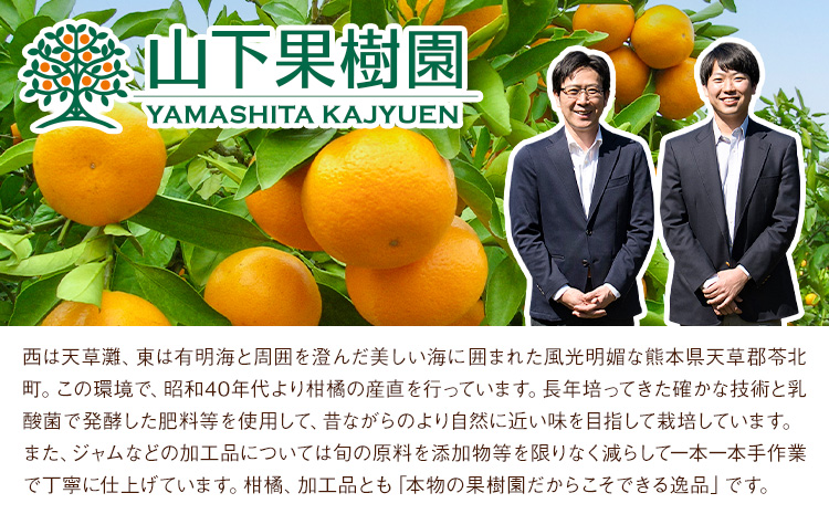 ジャム 手作り 詰め合わせ みかんジャムソース 235g×2本 天草晩柑ジャム 150g×1本 ゴロっとみかんジャム 150g×1本 計3種 計4本セット 《90日以内に出荷予定(土日祝除く)》 山下果樹園 熊本県 苓北町 送料無料 ジャム 手づくり みかん 柑橘---reihoku_ysk_2_set---