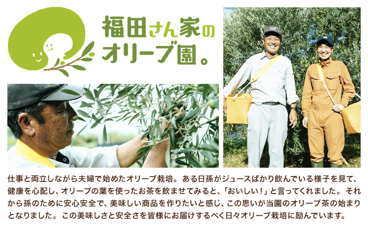 オリーブ 茶 パスタ 3袋 セット 福田さん家のオリーブ園。《30日以内に出荷予定(土日祝除く)》手延べ 麺  冷麺 サラスパ 茹で 塩 不要 乳酸菌 天草 苓北 熊本 送料無料 ---reihoku_hdo_3_3p---
