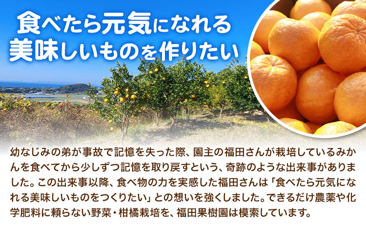 野菜 果物 詰め合わせ 自然栽培 福田果樹園 旬 セット 天草 苓北 熊本 送料無料《90日以内に出荷予定(土日祝除く)》熊本県 苓北町 ---t01r605---