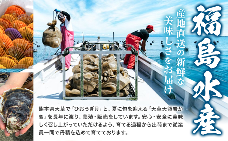 天領岩牡蠣 約5kg 福島水産《2026年4月上旬-7月末頃出荷予定》熊本県 苓北町 牡蠣 かき カキ 岩カキ 岩ガキ 貝 BIG ビッグ 生食 バーベキュー 夏天草 天領 苓北 熊本 旬 シーズン 送料無料【配送不可地域あり】---reihoku_hks_3_5000g---