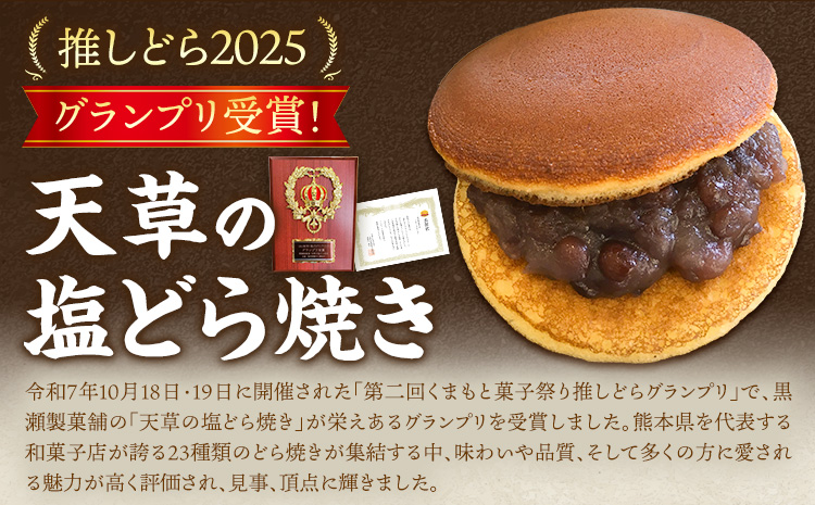 黒瀬のどら焼き 詰め合わせ 12個入り 黒瀬製菓舗《30日以内に出荷予定(土日祝除く)》熊本県 苓北町 菓子 お菓子 和菓子 スイーツ どらやき どら焼き こしあん 白あん 粒あん 天草の塩どら焼き 小倉クリーム 抹茶クリーム セット---reihoku_kss_2_12p---