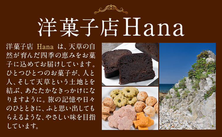 苓北 ヴィーガンクッキー 5袋 セット 洋菓子店Hana《30日以内に出荷予定(土日祝除く)》 熊本県 苓北町 送料無料 菓子 クッキー 卵 乳製品不使用 天草 熊本 送料無料 ビーガン---reihoku_yhn_1_5syu---