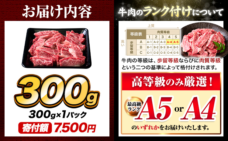 A4-A5等級 黒毛和牛 切り落とし 上 カルビ 焼肉 切り落とし 300g《30日以内に出荷予定(土日祝除く)》くまもと黒毛和牛 熊本県 苓北町 上カルビ 焼肉用 黒毛和牛 焼肉 肉 お肉 和牛 A5 A4 小分け---reihoku_loc_8_300g---
