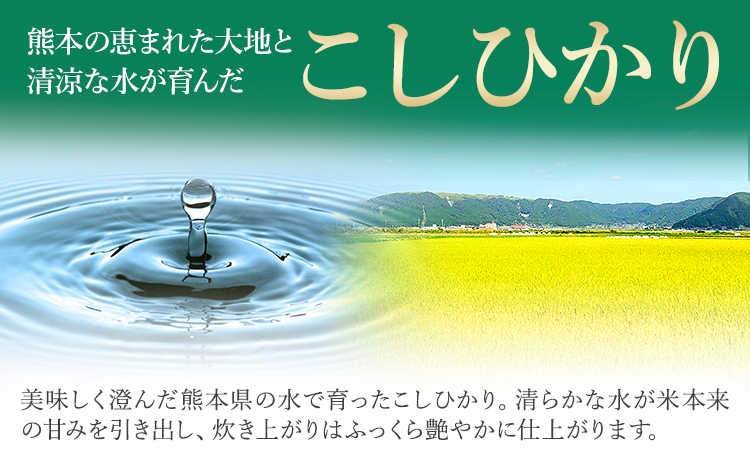 【3ヶ月定期便】令和7年産 新米 白米 こしひかり 5kg《お申込み翌月から出荷》熊本県産 ふるさと納税 白米 精米 ひの 米 こめ ふるさとのうぜい コシヒカリ コメ お米 おこめ---reihoku_loc_316_mo3---