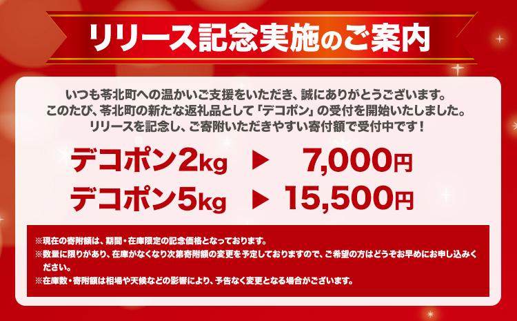 【先行予約】 デコポン ご家庭用 デコポン 約5kg 前後 (約12-24玉前後) 糖度13度以上 訳あり デコポン 《2026年2月上旬-4月末頃出荷》 個別光センサー選果 みかん 柑橘 フルーツ 旬 不知火 でこぽん 期間限定 厳選---reihoku_loc_15_5kg---