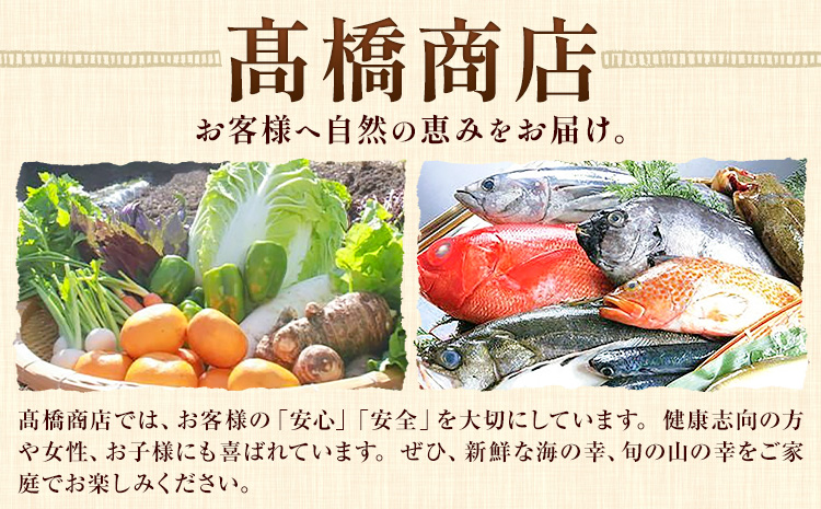 とうもろこし スイートコーン 10本 髙橋商店《2026年5月中旬-6月下旬頃出荷》熊本県 苓北町 野菜 コーン 玉蜀黍 コーンバター 焼きとうもろこし コーンスープ---reihoku_ths_6_10p---