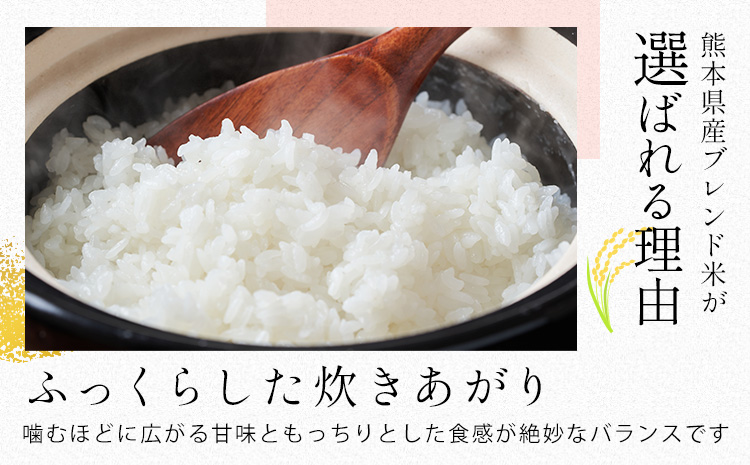 【3ヶ月定期便】米 熊本県産 肥後うまか米 15kg 熊本県産 ふるさと納税 白米 精米 こめ ふるさとのうぜい コメ お米 おこめ ブレンド米《お申込み翌月から出荷》---reihoku_loc_246_mo3---
