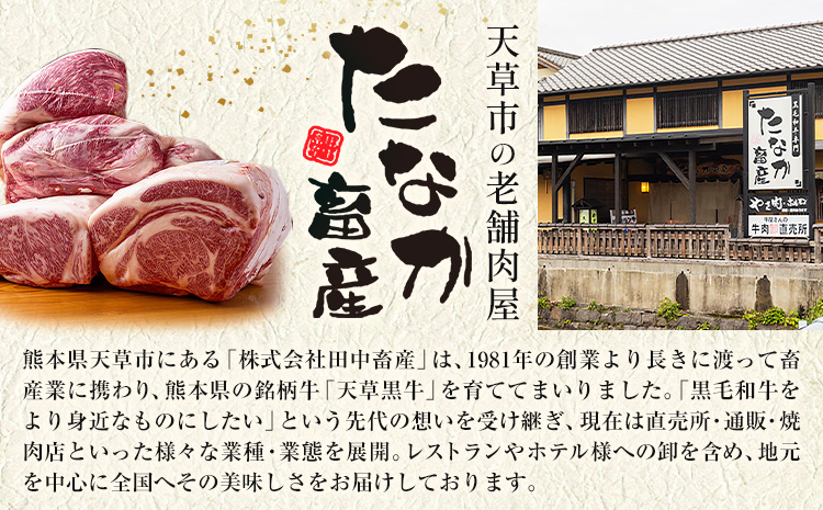 【12ヶ月定期便】黒毛和牛 すき焼き用 切り落とし 1kg × 12回 計12kg A5 ロース すき焼きのたれ 1本付 株式会社田中畜産 《お申込み月の翌月から出荷》熊本県 苓北町 肉 にく お肉 おにく 牛 牛肉 和牛 ロース 切り落とし 極上 定期便---reihoku_tnt_17_1000skmo12---