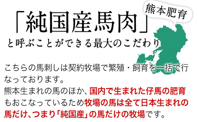 手作りハン馬ーグ 100g×10個 《30日以内に出荷予定(土日祝除く)》 馬肉100%配合！【熊本肥育】ハンバーグ たっぷり 冷凍 お中元 肉 お手軽 お取り寄せ---rh_fkgumburg_30d_r7_13500_10k---