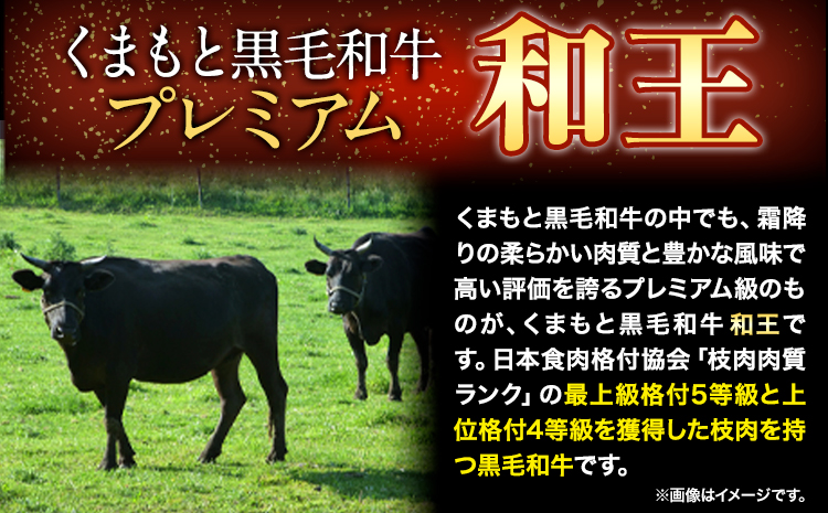 くまもと黒毛和牛 和王 バラ 霜降り 焼肉切り落とし 550g A5 A4 等級《30日以内に出荷予定(土日祝除く)》熊本県 苓北町 黒毛和牛 牛肉 冷凍 個別 取分け 小分け チャック付き バラ凍結 肉 お肉 焼き肉 焼き肉用---rh_fwow_30d_r7_12000_550g---