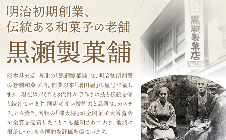 黒瀬のどら焼き 詰め合わせ 天草の塩どら焼き 10個 黒瀬製菓舗《30日以内に出荷予定(土日祝除く)》熊本県 苓北町 菓子 お菓子 和菓子 スイーツ どらやき どら焼き 天草の塩どら焼き 推しどらグランプリ 受賞---reihoku_kss_7_10k---