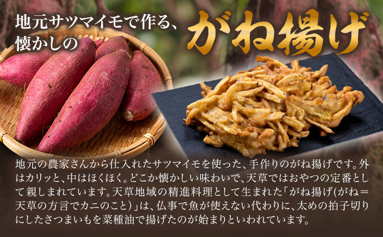 がね揚げ ガネアゲ 芋天 10個 坂西商店 【配送不可地域あり】 《30日以内に出荷予定(土日祝を除く)》 熊本県 苓北町 がね揚げ 芋天 手作り 芋 さつまいも 郷土料理 送料無料---reihoku_sns_38_5p---