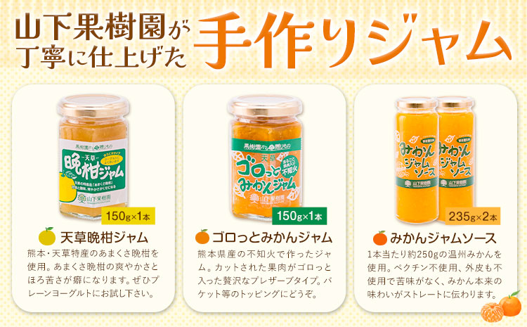 ジャム 手作り 詰め合わせ みかんジャムソース 235g×2本 天草晩柑ジャム 150g×1本 ゴロっとみかんジャム 150g×1本 計3種 計4本セット 《90日以内に出荷予定(土日祝除く)》 山下果樹園 熊本県 苓北町 送料無料 ジャム 手づくり みかん 柑橘---reihoku_ysk_2_set---